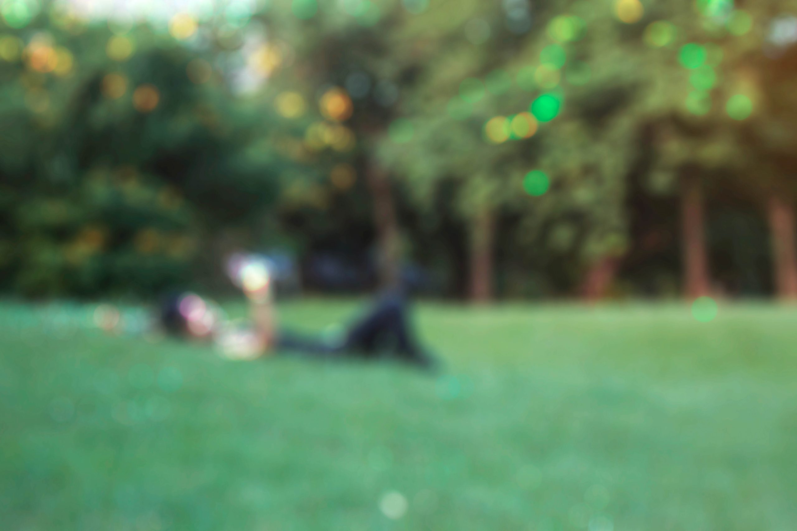 Men on lawn with blurred images.
